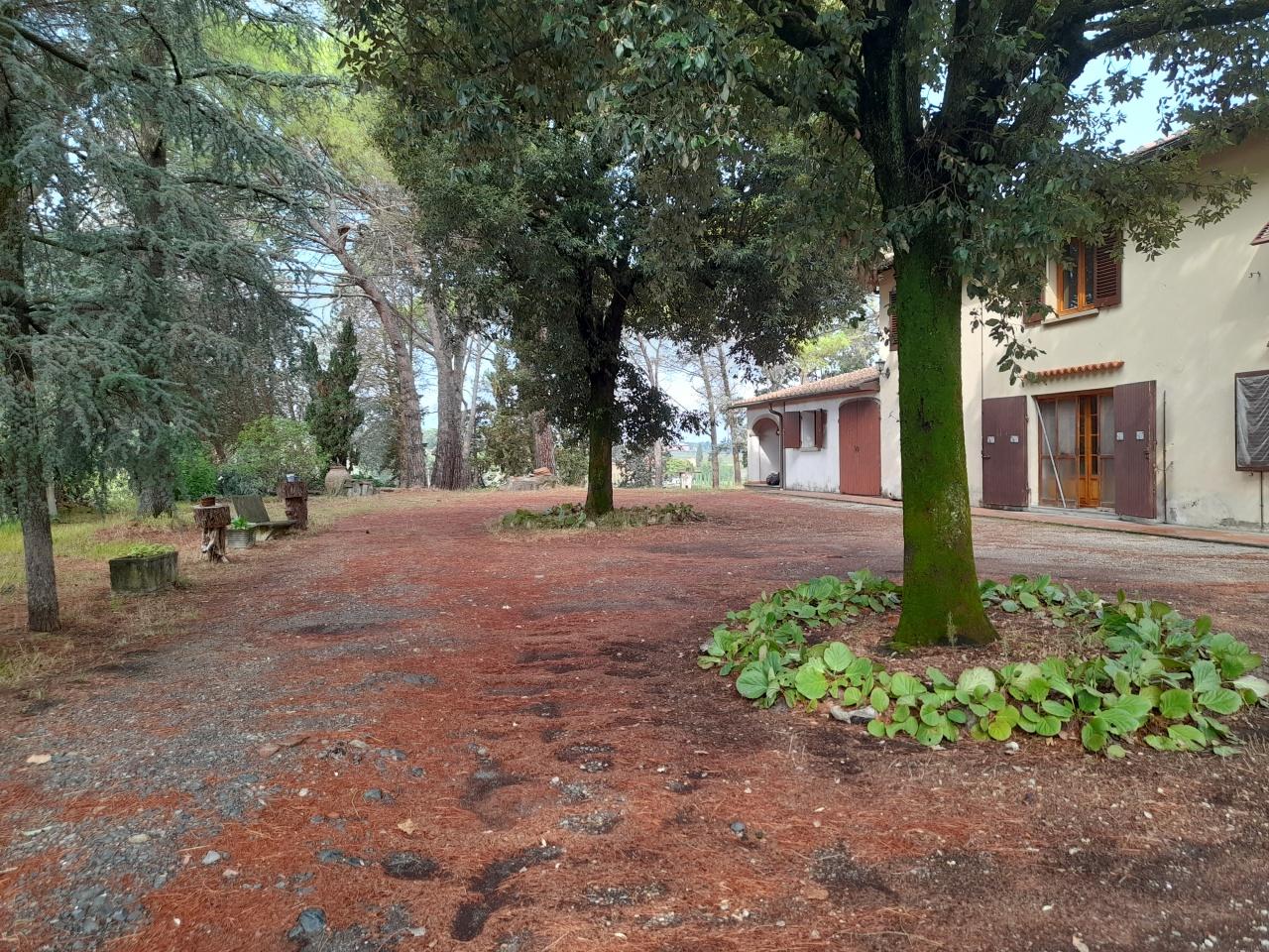 Vendita Multivani, Quarrata foto