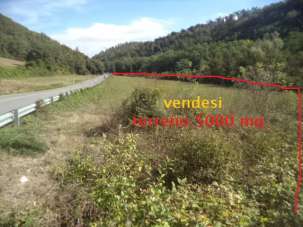 Vendita Altri immobili, Vaglia