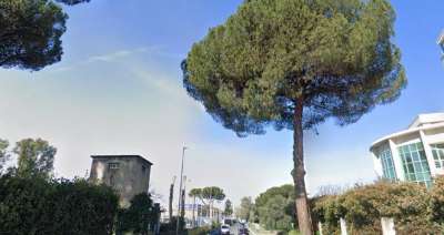 Vendita Trivani, Roma Vendita Trivani, Roma