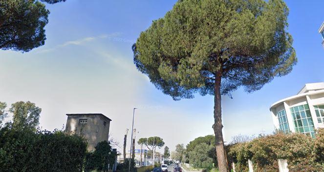 Vendita Trivani, Roma foto