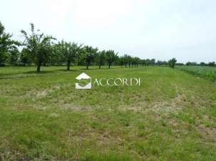 Vendita Altri immobili, Volpago del Montello