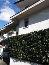 Vendita Esavani, Viareggio Vendita Esavani, Viareggio