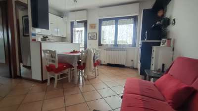 Vendita Trivani, Viareggio