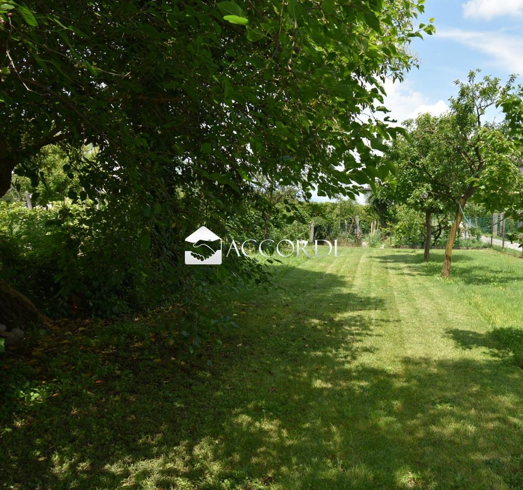 Vendita Pentavani, Godega di Sant'Urbano foto