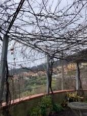 Vendita Multivani, Pietrasanta