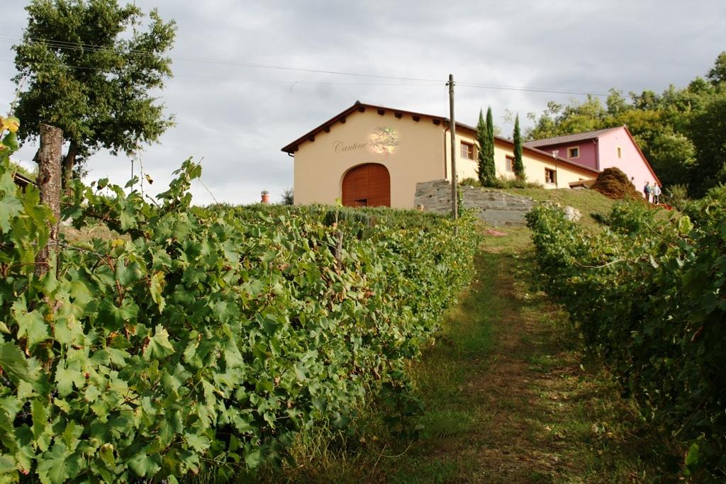 Vendita Monovano, Bucine foto