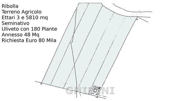 Vendita Monovano, Roccastrada Vendita Monovano, Roccastrada foto