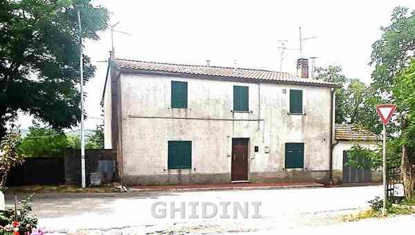 Vendita STABILE, Scansano foto