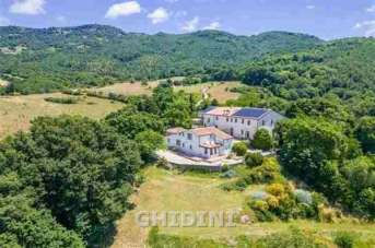 Vendita Multivani, Arcidosso