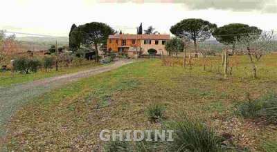Venta Multivani, Cinigiano Venta Multivani, Cinigiano