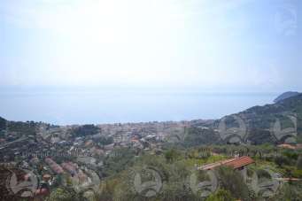 Vendita Quadrivani, Alassio