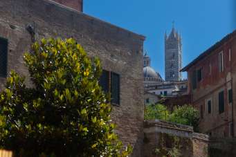 Vendita Pentavani, Siena