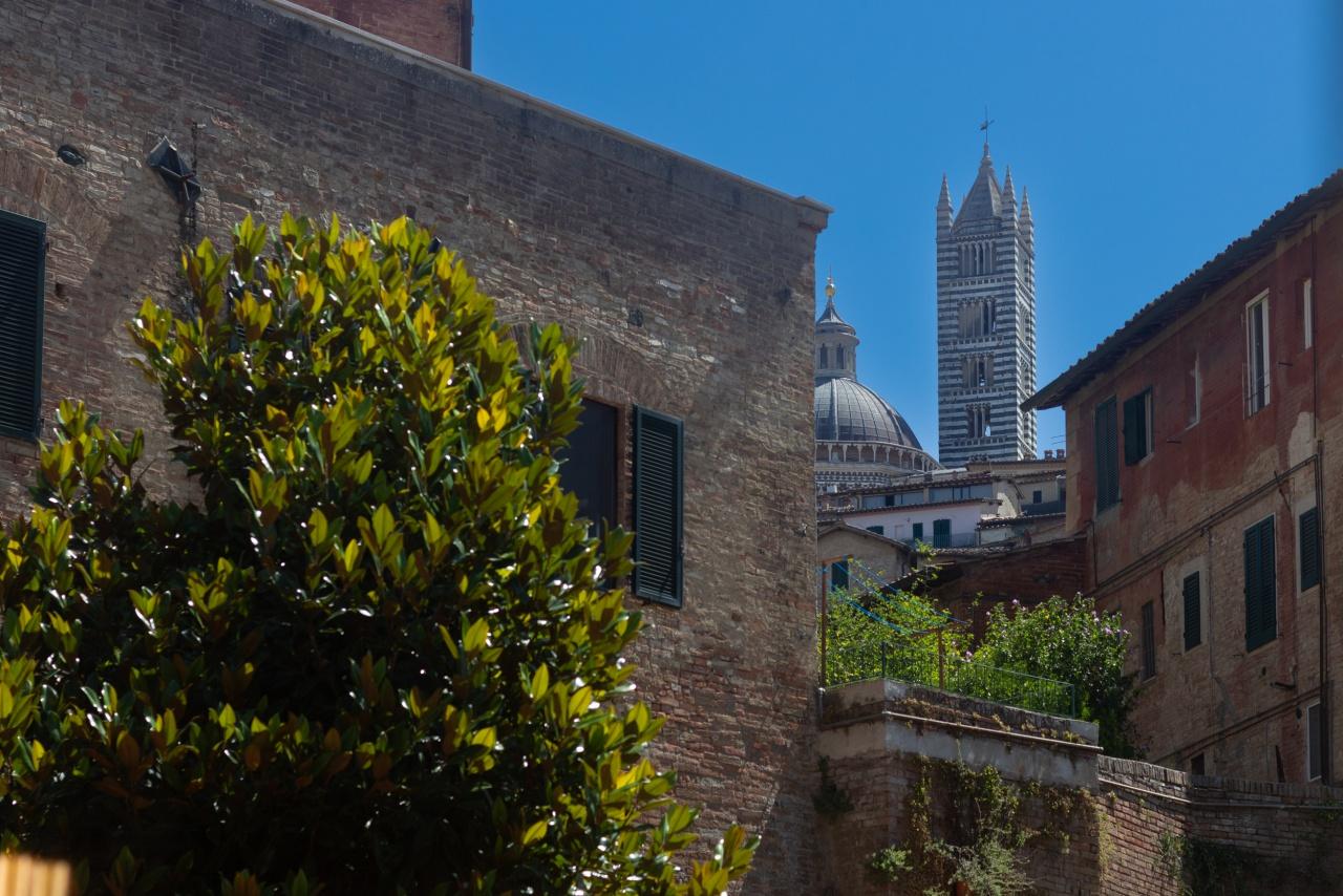 Vendita Pentavani, Siena foto