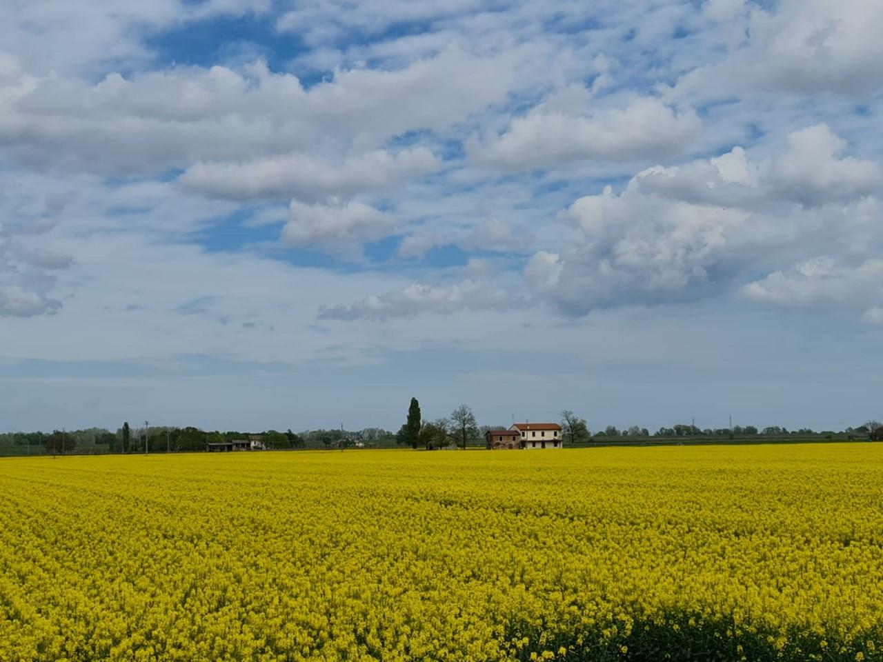 Vendita Monovano, Fossombrone foto