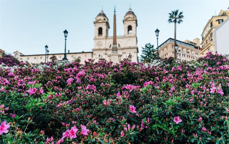 Vendita Esavani, Roma foto