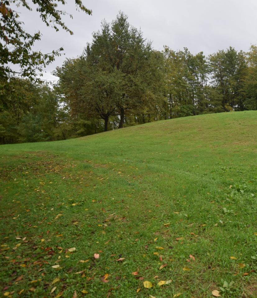 Vendita Quadrivani, Giavera del Montello foto