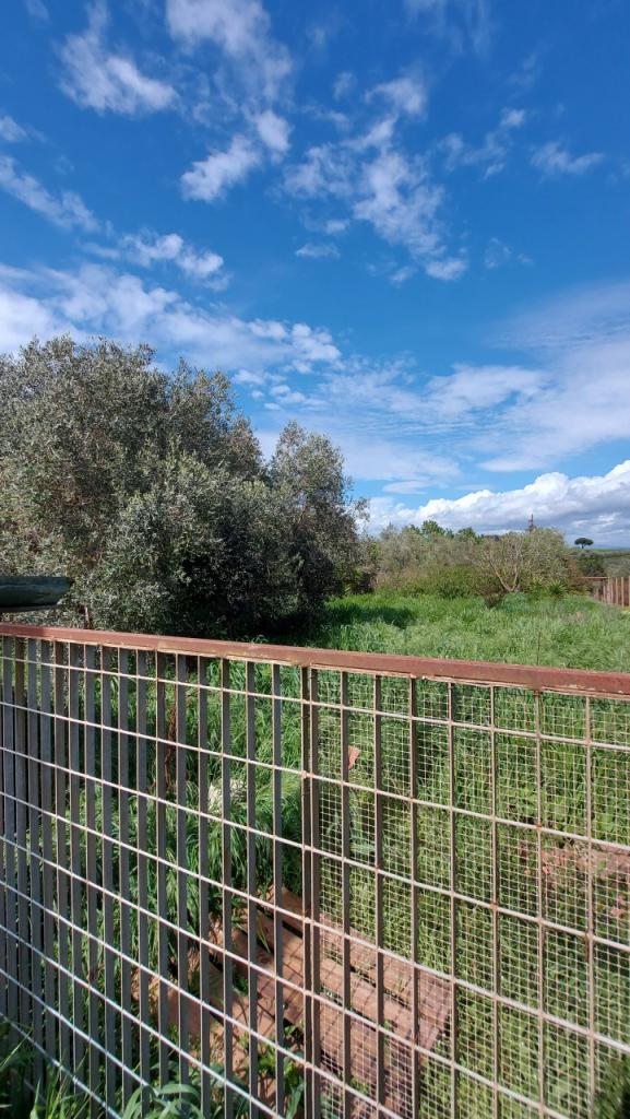 Vendita Altri immobili, Follonica foto