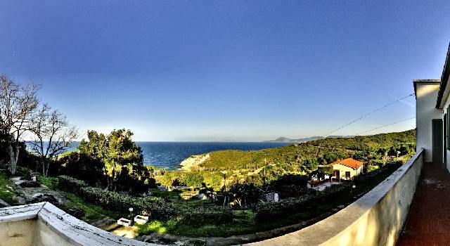 Vendita Multivani, Portoferraio foto