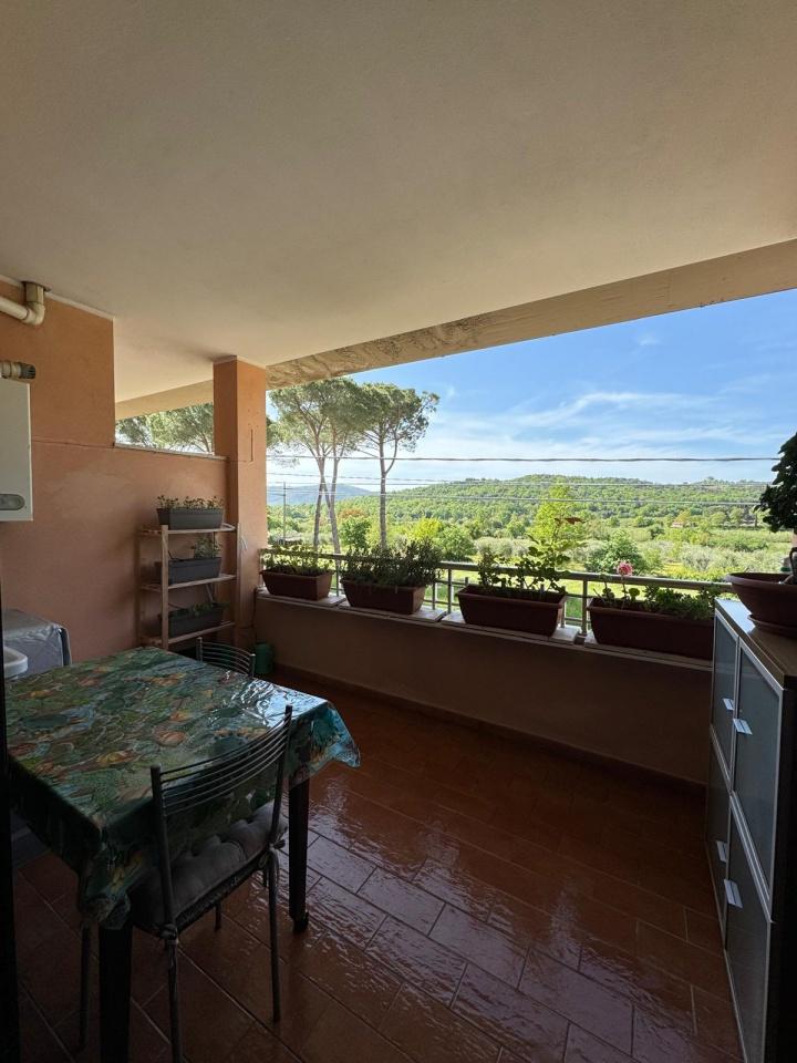 Vendita Trivani, Gavorrano foto