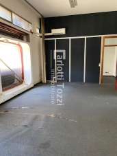 Affitto Ville, Grosseto Affitto Ville, Grosseto