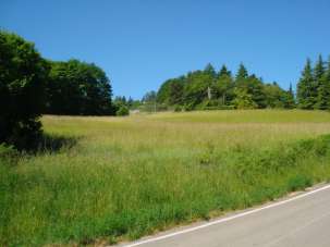 Vendita Altri immobili, Loiano