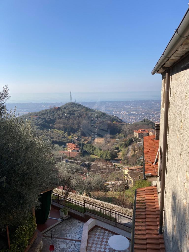 Vendita Multivani, Pietrasanta foto