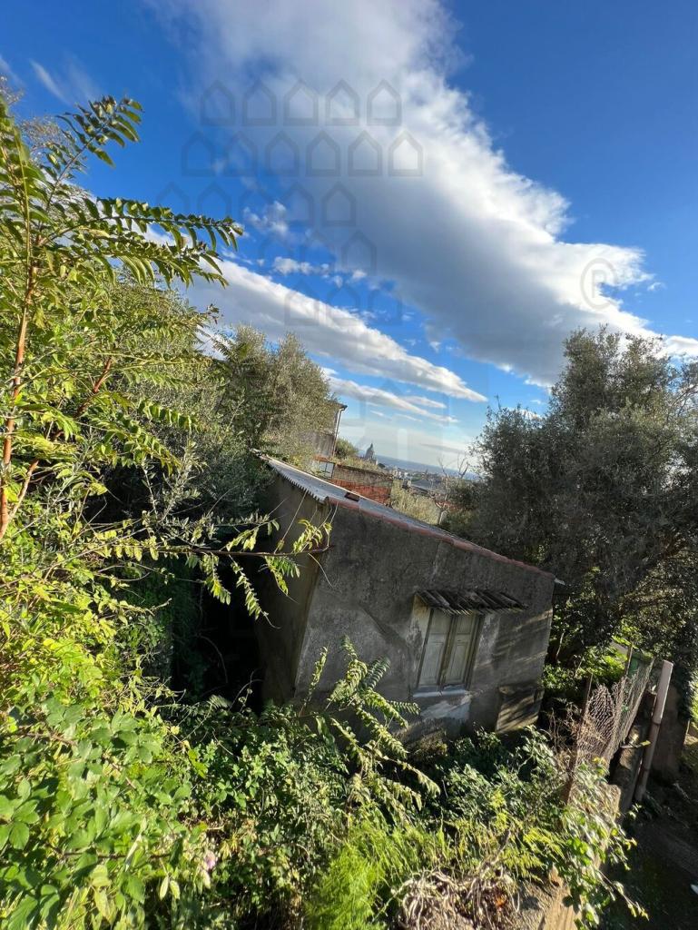 Vendita Trivani, Messina foto