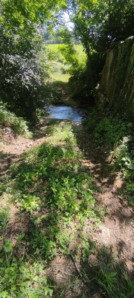 Vendita Altri immobili, Vicchio foto