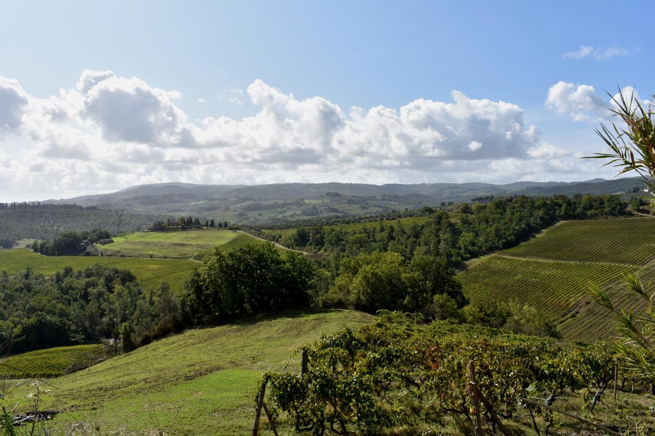 Vendita Case, Certaldo foto