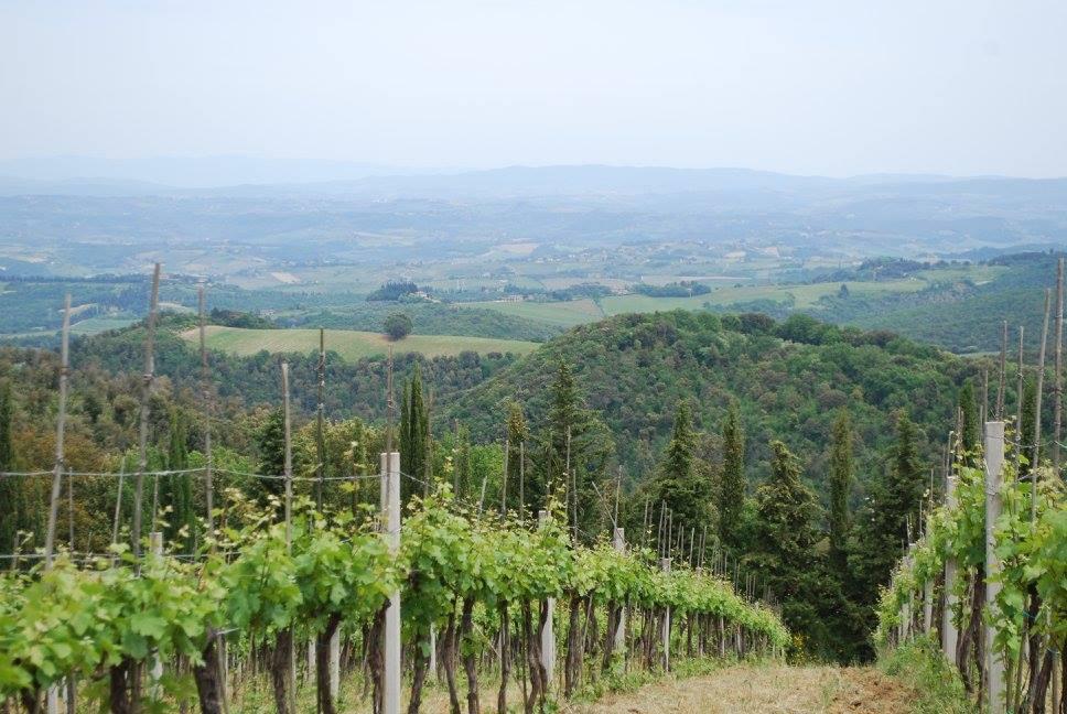Vendita Altri immobili, Gambassi Terme foto