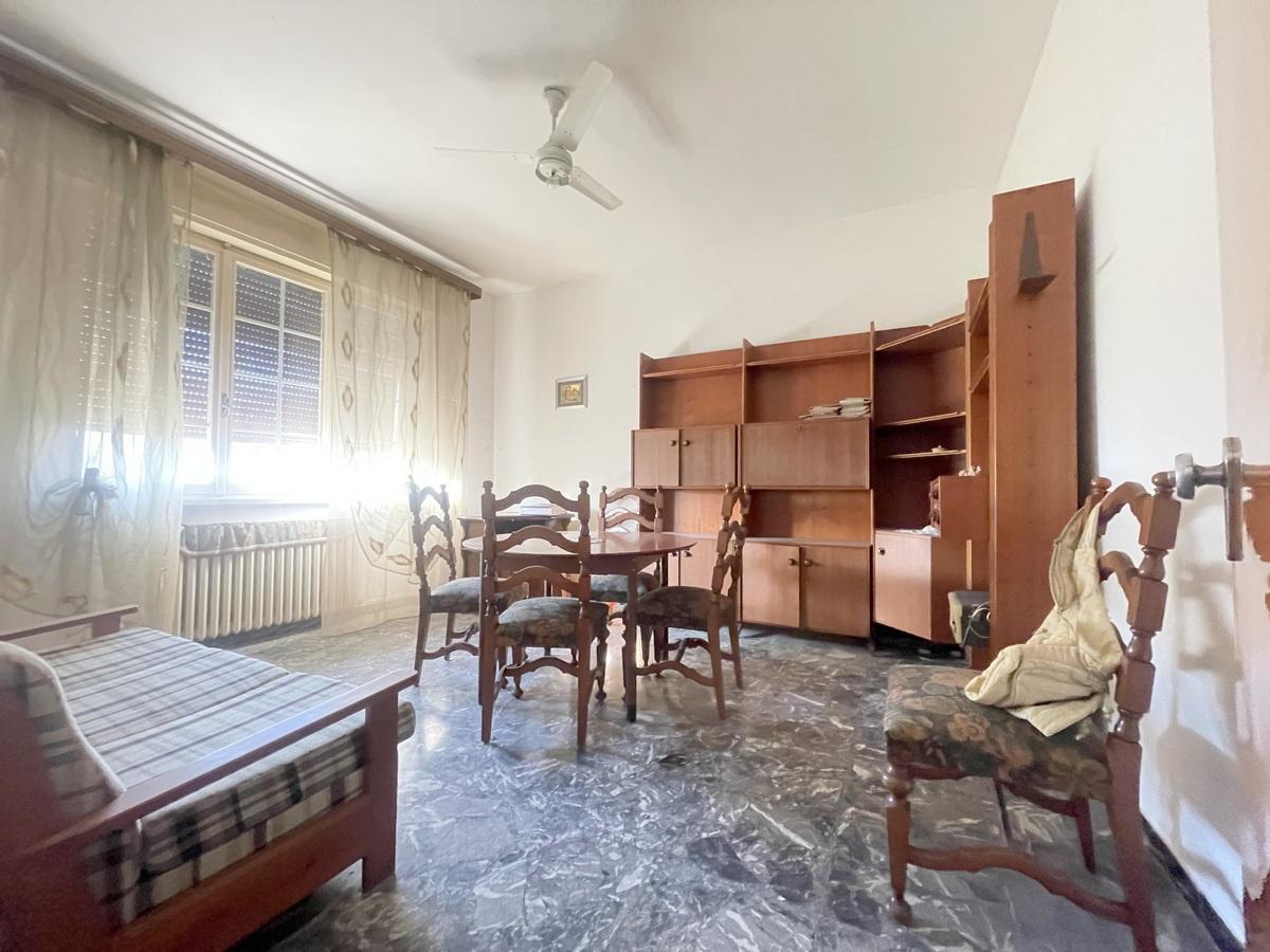 Vendita Multivani, Forli foto
