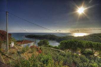 Vendita Trivani, Campo nell'Elba