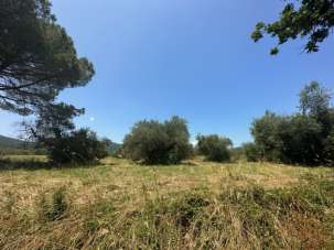 Vendita Altri immobili, Gavorrano Vendita Altri immobili, Gavorrano