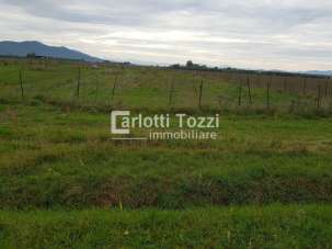 Vendita Altri immobili, Grosseto