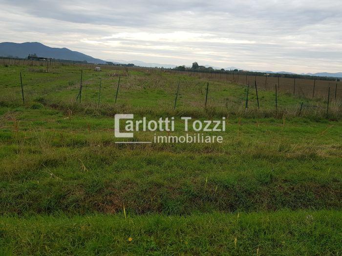 Vendita Altri immobili, Grosseto foto