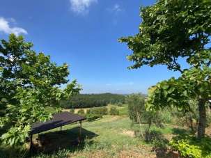 Vendita Case, Cerreto Guidi Vendita Case, Cerreto Guidi