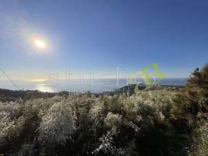 Vendita vendita, Bordighera