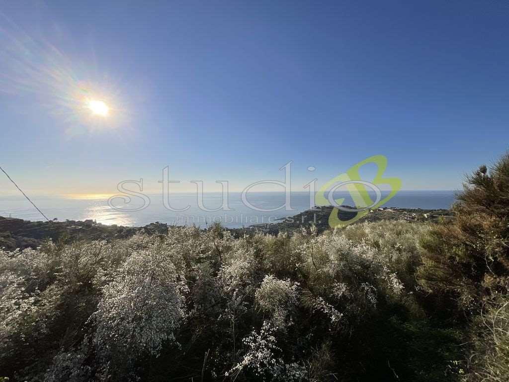 Vendita vendita, Bordighera foto