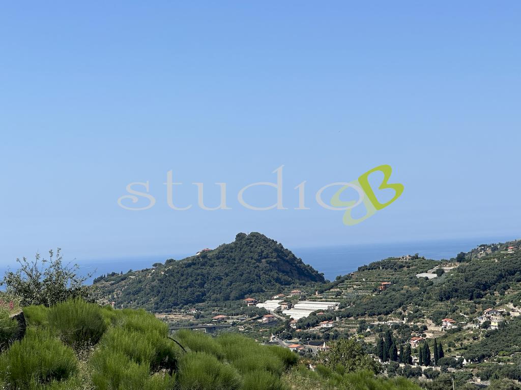 Vendita vendita, Bordighera foto