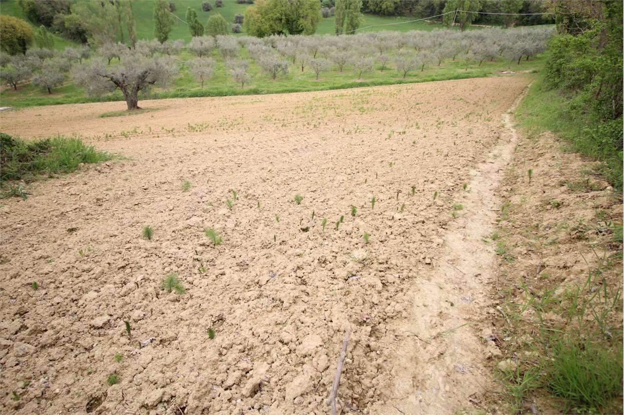 Vendita vendita, Pesaro Vendita vendita, Pesaro foto