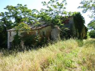 Vendita vendita, Vallefoglia Vendita vendita, Vallefoglia