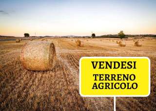 Vendita vendita, Briosco Vendita vendita, Briosco