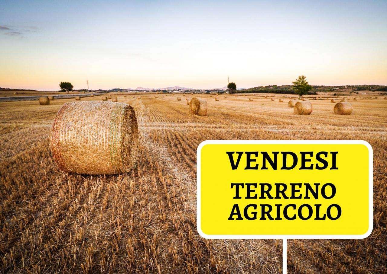 Vendita vendita, Briosco foto
