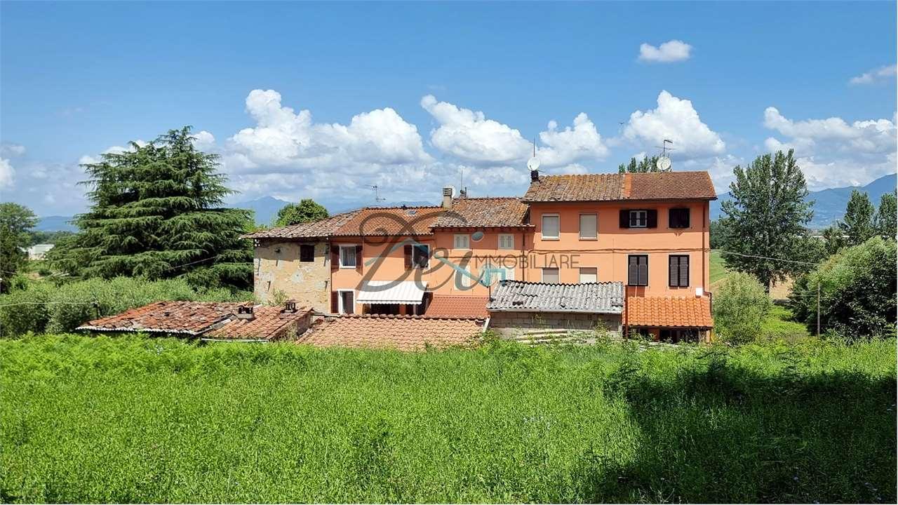 Vendita vendita, Capannori foto