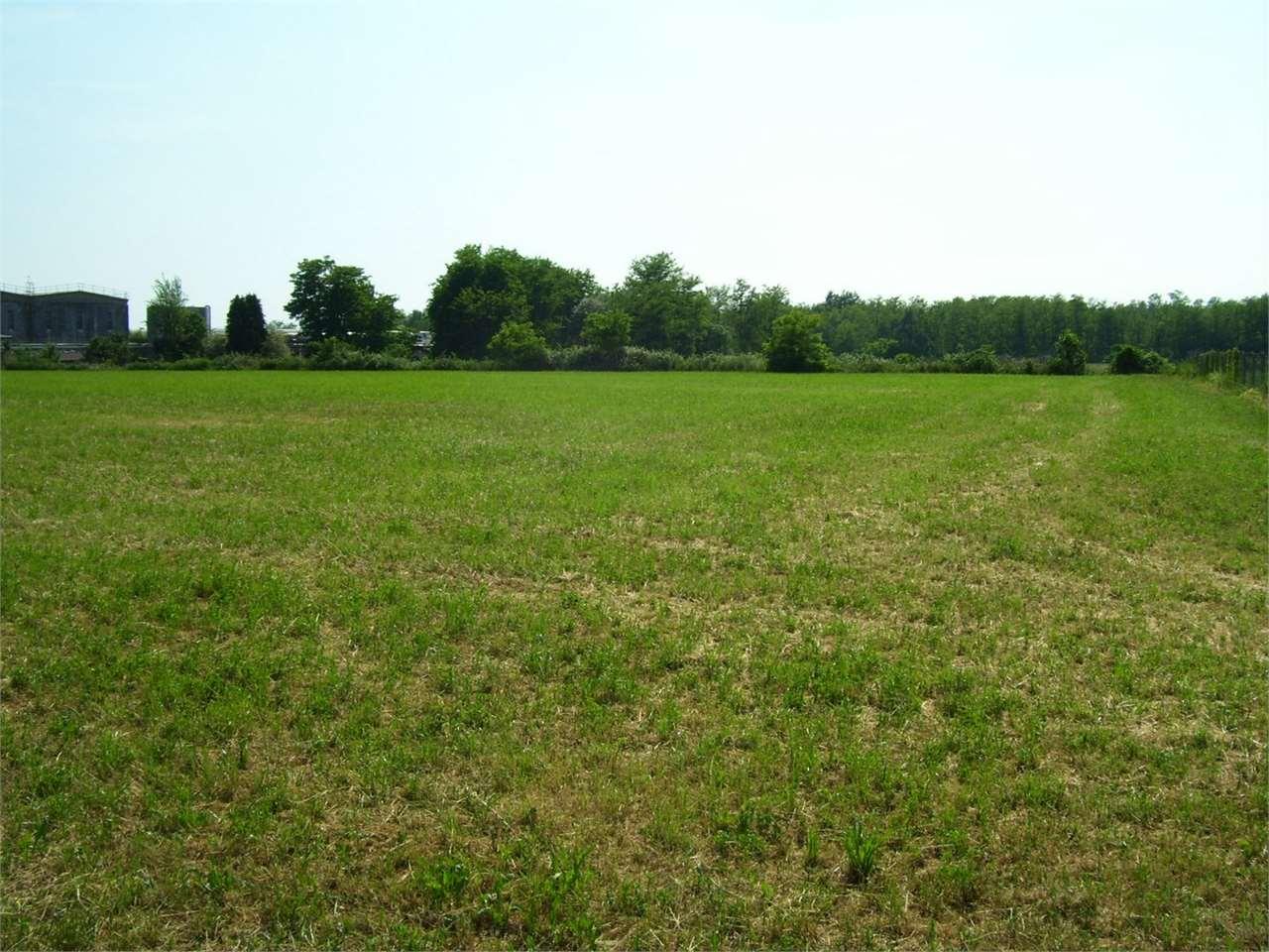 Vendita vendita, Veniano Vendita vendita, Veniano foto