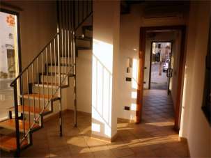 Affitto affitto, Lucca