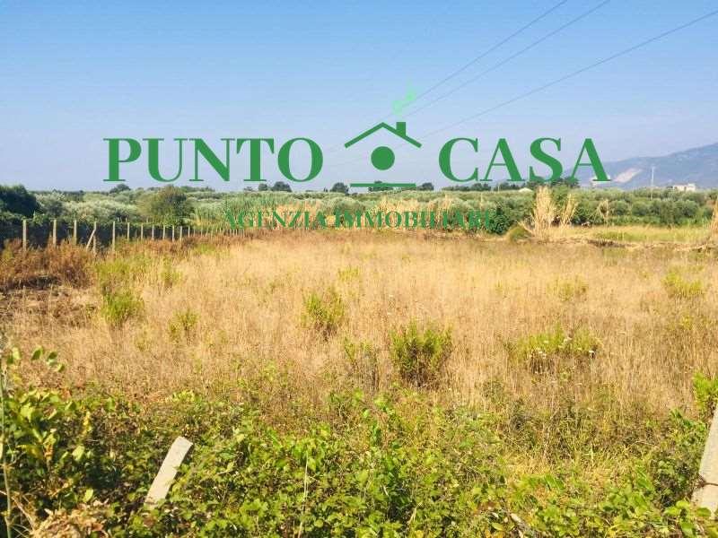 Vendita vendita, Lamezia Terme Vendita vendita, Lamezia Terme foto