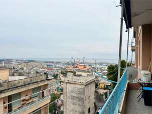 Vendita vendita, Genova