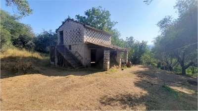 Vendita vendita, Monte San Giovanni Campano