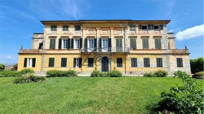 Vendita vendita, Capannori